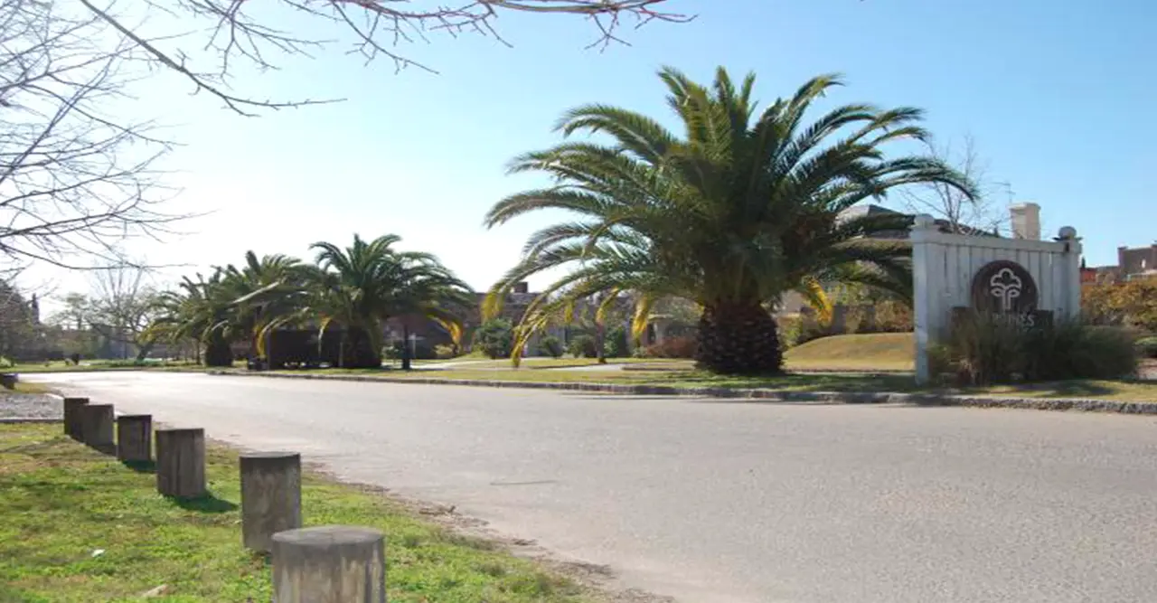 Colinas de Carrasco, vista