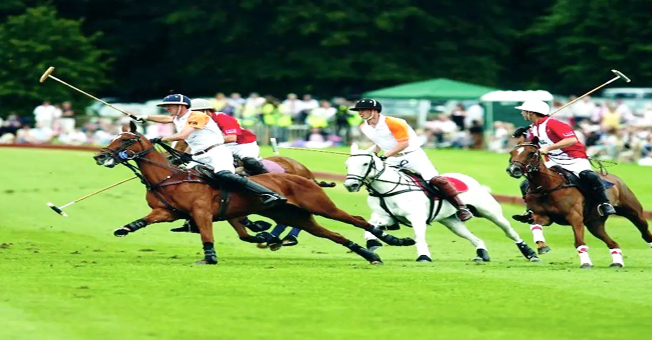 Colinas Polo Club, vista