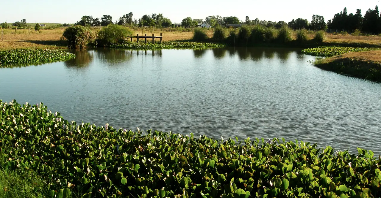 Loma Verde, vista