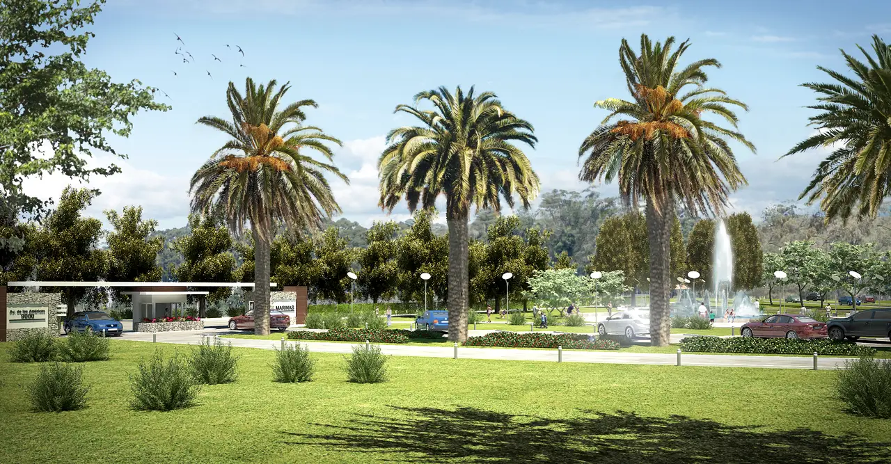 Plaza Mayor Paisajismo, vista